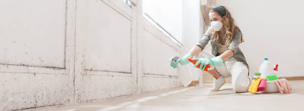 Mold Removal for HVAC Installations in Somerville, TN